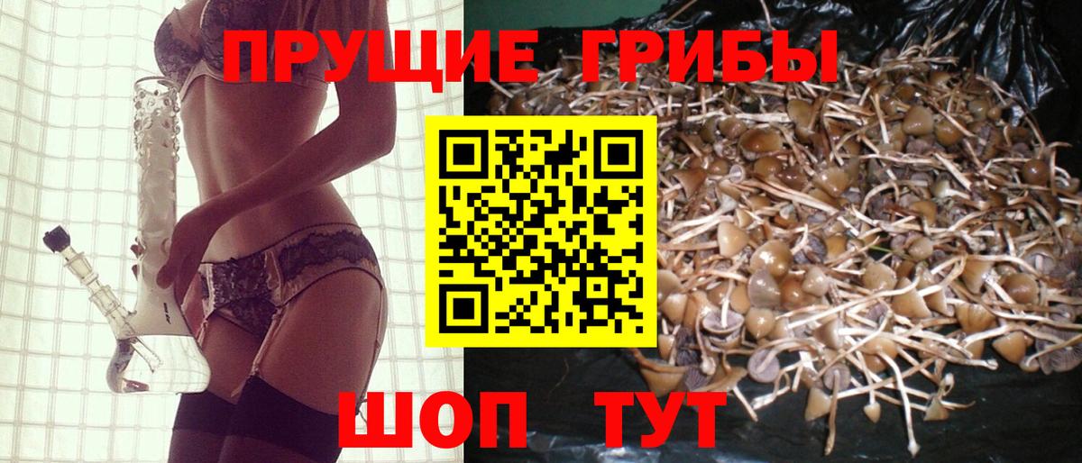 Псилоцибиновые грибы мицелий  Вход с VPN  Кировск 
