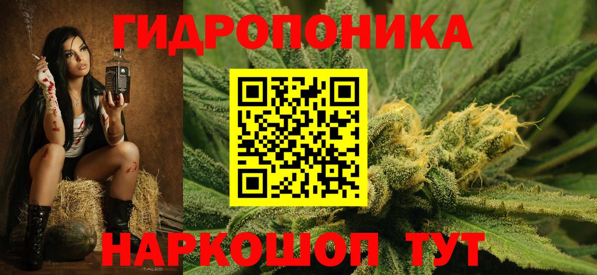 Конопля гибрид Кировск